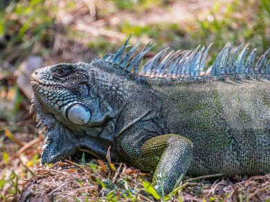 Amazonia wycieczka z Prestige Tours