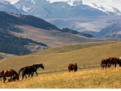 Kazachstan