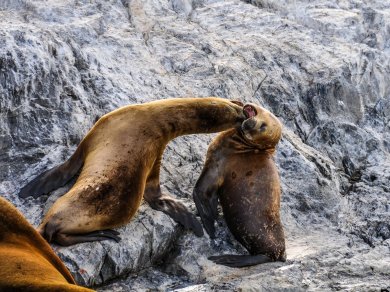 wycieczka do Argentyny, Chile, Urugwaju z opcja na Wyspę Wielkanocną