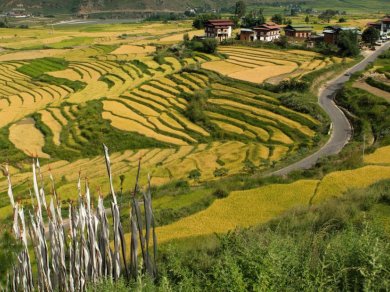 PUNAKHA