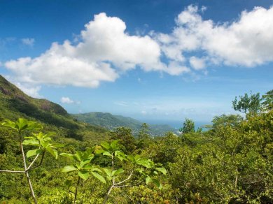 Parku Narodowym Morne Seychellois