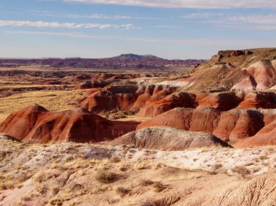 Petrifield Forest wycieczka Prestige Tours