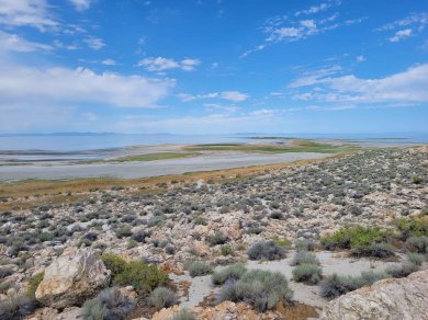 saltlake ameryka wycieczka USA