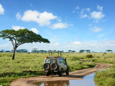 safari w Serengeti