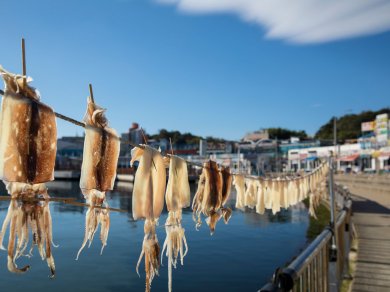 port Sokcho