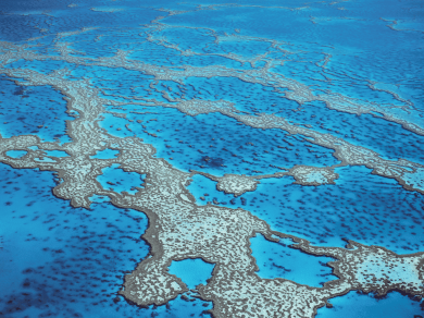 wycieczka do Australii z Tasmanią z Prestige Tours