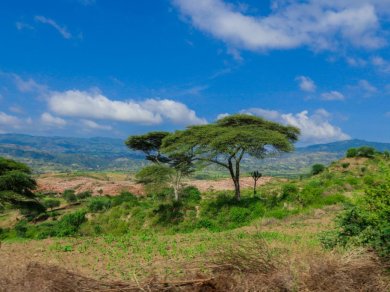 Omo Valley wycieczka Prestige Tours