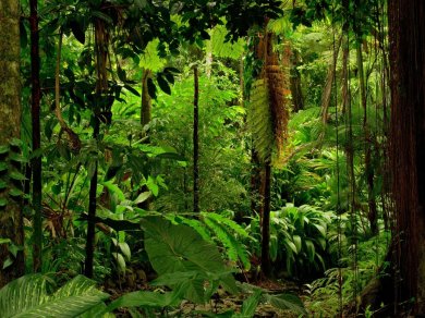 Wycieczka Amazonia z Prestige Tours