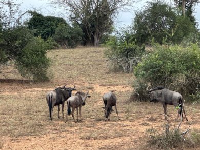 wyprawa egzotyczna z Prestige Tours - wycieczka Angola