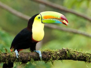 wycieczki egzotyczne Prestige Tours - Kostaryka