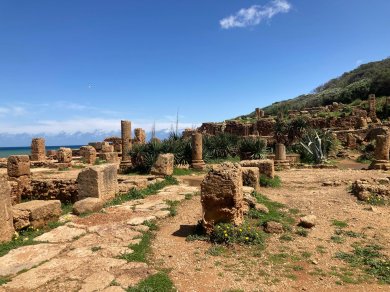 Tipaza wyprawa z Explore 360