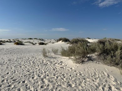 Park Narodowy White Sands
