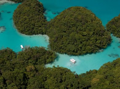 Palau wycieczka z Prestige Tours