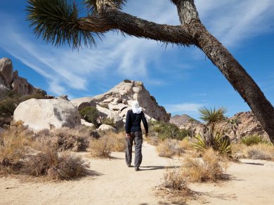 Wycieczka do Parku Narodowego USA - Joshua Tree