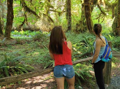 olympic national park USA wycieczka wakacje zwiedzanie