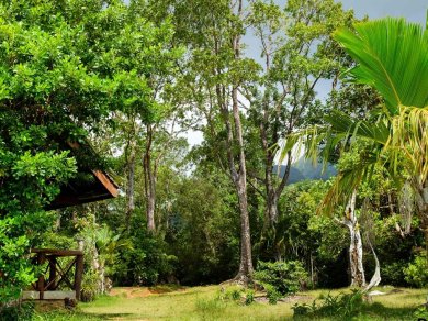 Parku Narodowym Morne Seychellois