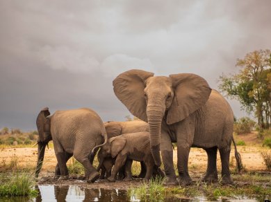 wycieczka do RPA, Lesotho, Suazi i Mozambiku z Prestige Tours