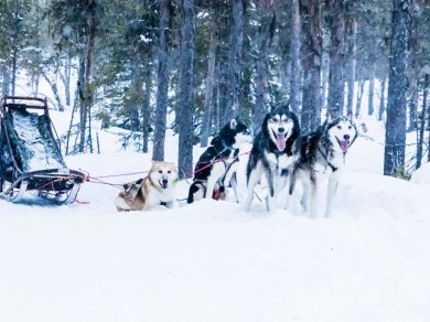 wycieczka na Grenlandię