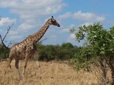 Botswana wycieczka Prestige Tours
