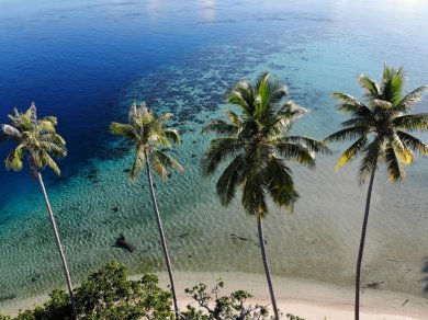 raja  ampat wakacje