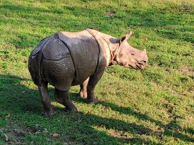 Chitwan - wycieczka egzotyczna Presttige Tours