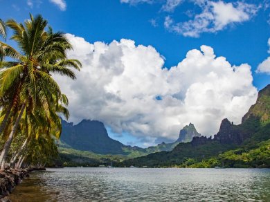 wycieczka na  Moorea
