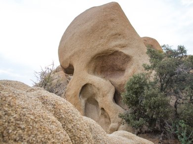 Wycieczka do Parku Narodowego USA - Joshua Tree