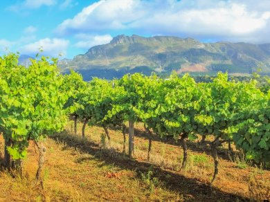 wycieczka do RPA, Lesotho, Suazi i Mozambiku z Prestige Tours