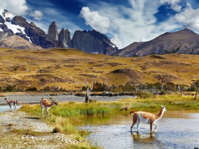 wycieczka do Argentyny, Chile, Urugwaju z opcja na Wyspę Wielkanocną