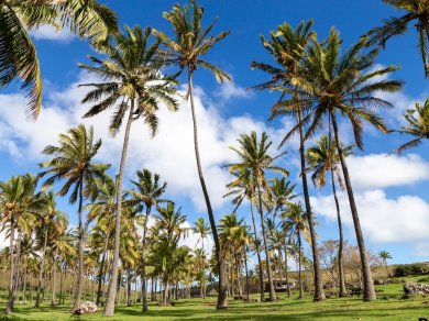 wycieczka do Argentyny, Chile, Urugwaju z opcja na Wyspę Wielkanocną