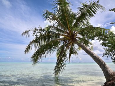 Tahiti wakacje 2024 Hawaje Polinezja Francuska