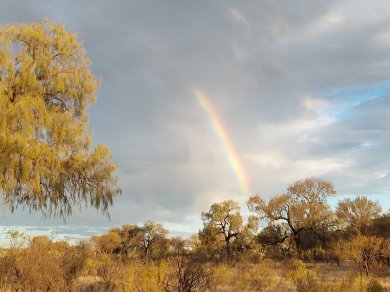 australia pustynia tecza na pustyni wycieczka