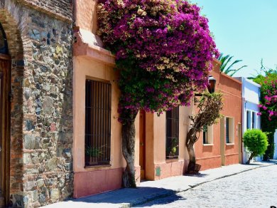 wycieczka do Argentyny, Chile, Urugwaju z opcja na Wyspę Wielkanocną