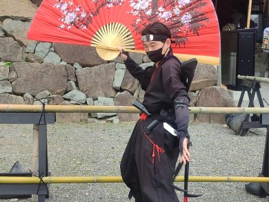 Japonia zimą Prestige Tours