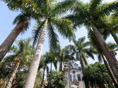 Sao Paulo wycieczka Prestige Tours