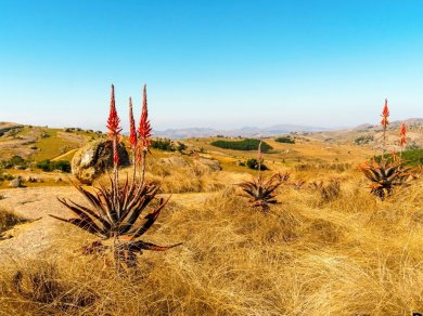 wycieczka do RPA, Lesotho, Suazi i Mozambiku z Prestige Tours