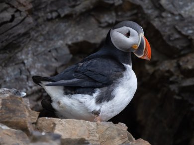 rejs Spitsbergen