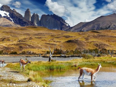 slakne wieże TORRES DEL PAINE (WYCIECZKA DO CHILE)