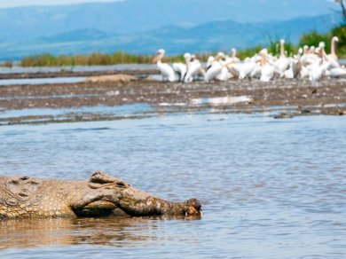Jezioro Chamo wycieczka z Prestige Tours