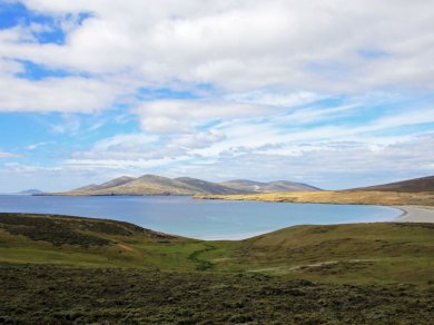 FALKLANDY – WEST POINT ISLAND, SAUNDERS ISLAND rejs Prestige Tours