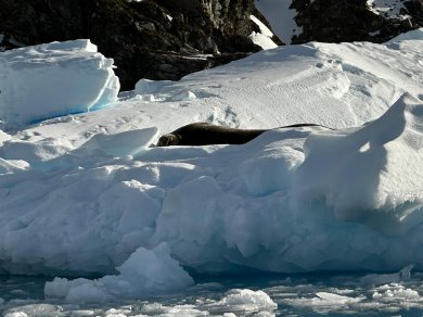 Antarktyda wyprawa Prestige Tours