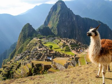 Machu Picchu - wycieczka