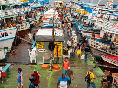 wycieczka Manaus - brama do amazońskiej dżungli