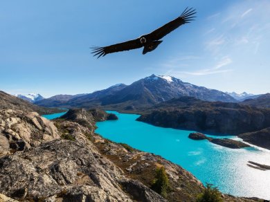 wycieczka do Argentyny, Chile, Urugwaju z opcja na Wyspę Wielkanocną