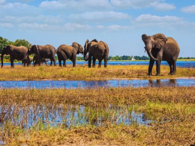 wycieczka do Botswany z Prestige Tours