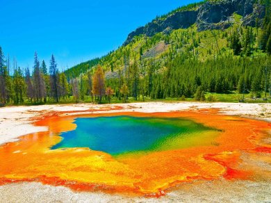 Yellowstone wycieczka
