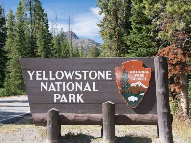 Yellowstone wycieczka