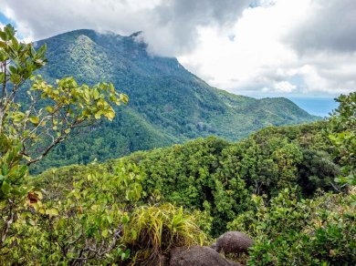 Parku Narodowym Morne Seychellois