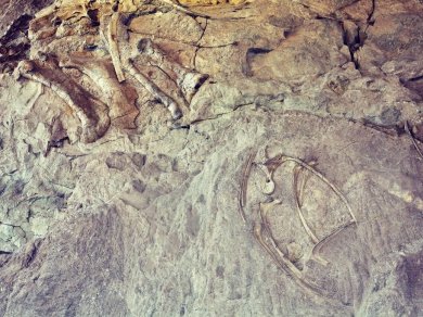 Dinosaur National Monument wycieczka Prestige Tours