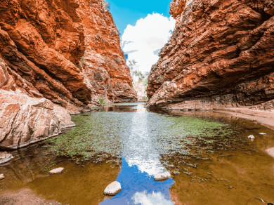 wycieczka do Australii z Tasmanią z Prestige Tours